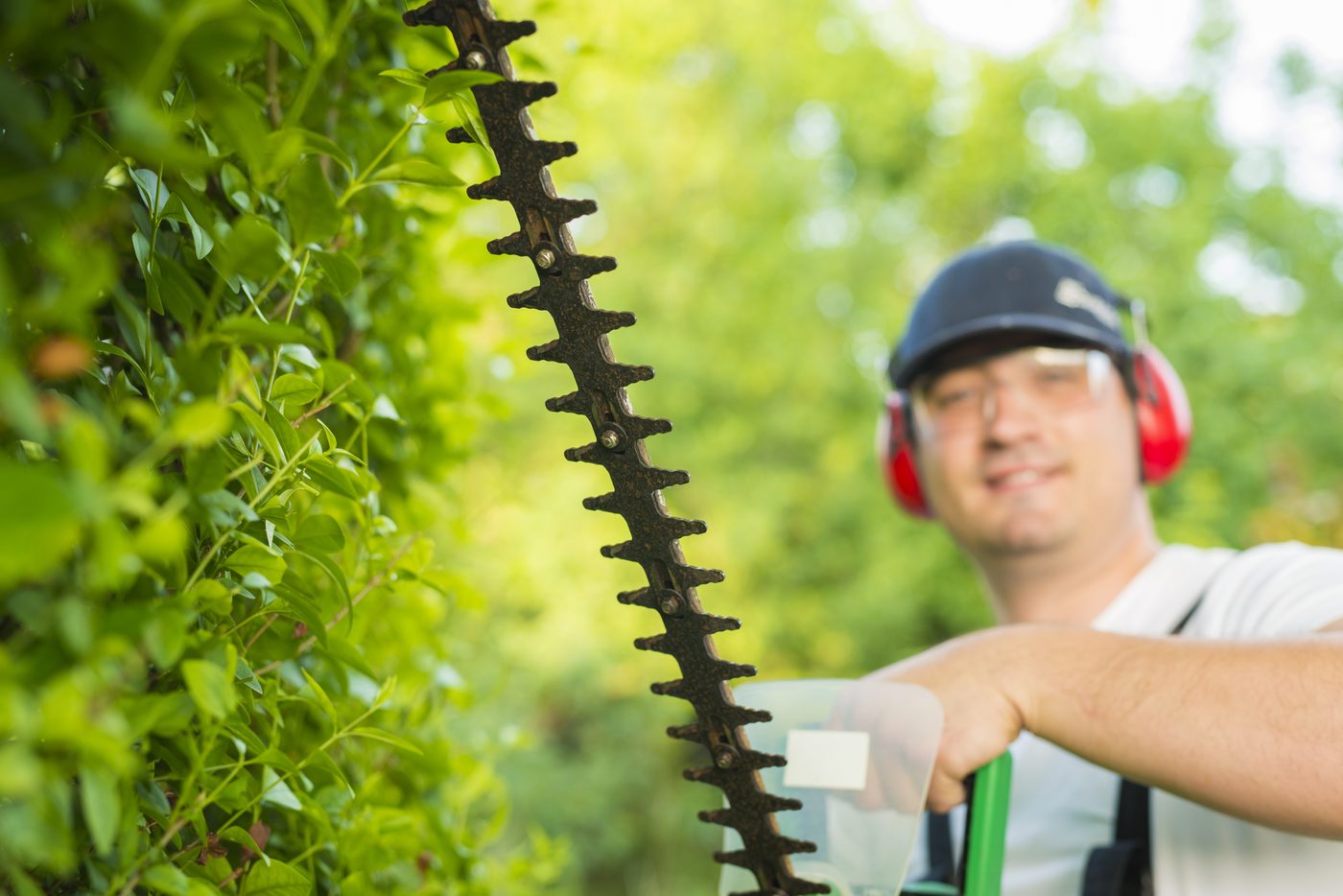 Arborist trimming a hedge with power shears